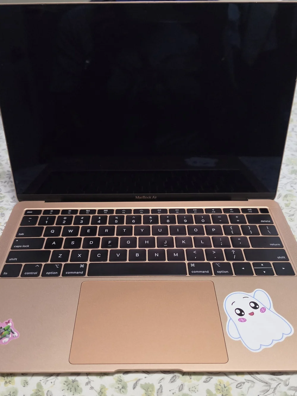 MacBook Air Rose Gold Laptop